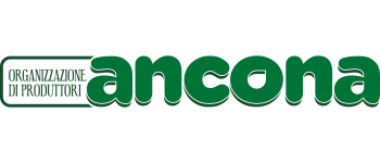 Logo-OpAncona