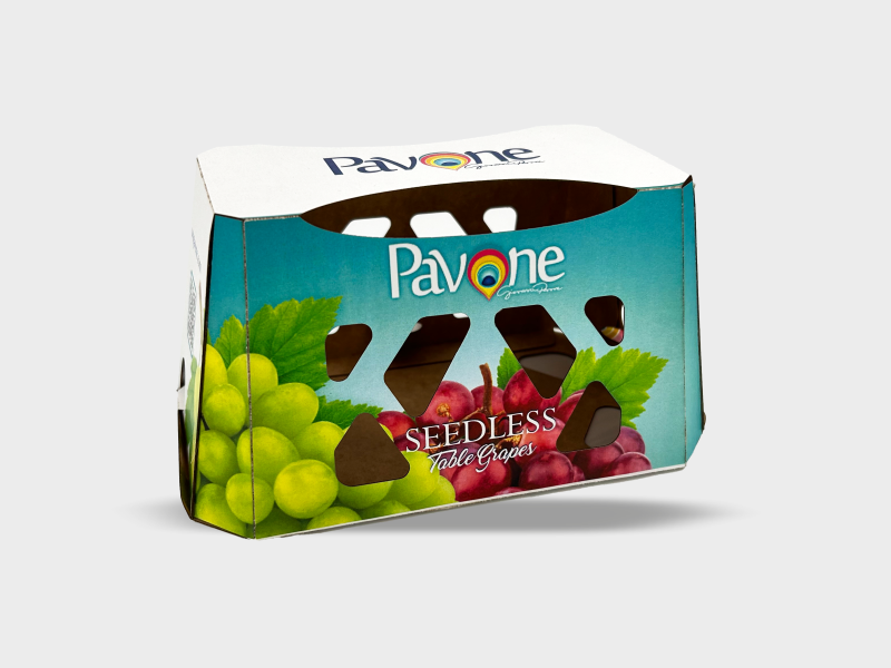 packaging-punnet-shelly-pavone.png
